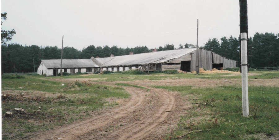 Talvinavetta